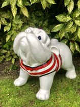 Hond- Engelse Bulldog - 51 cm - polyester - tuinbeeld - luxe afwerking in autolak - decoratie - tuindecoratie - polyesterbeeld - cadeau - geschenk - relatiegeschenk