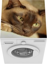 Wasmachine beschermer mat - Bruin gekleurde Burmese kat - Breedte 60 cm x hoogte 60 cm