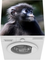 Wasmachine beschermer mat - Spinaap - Zwart - Dieren - Breedte 60 cm x hoogte 60 cm