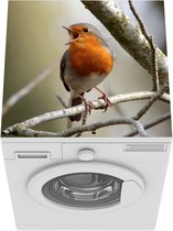 Wasmachine beschermer mat - Roodborstje - Zingen - Boom - Breedte 60 cm x hoogte 60 cm