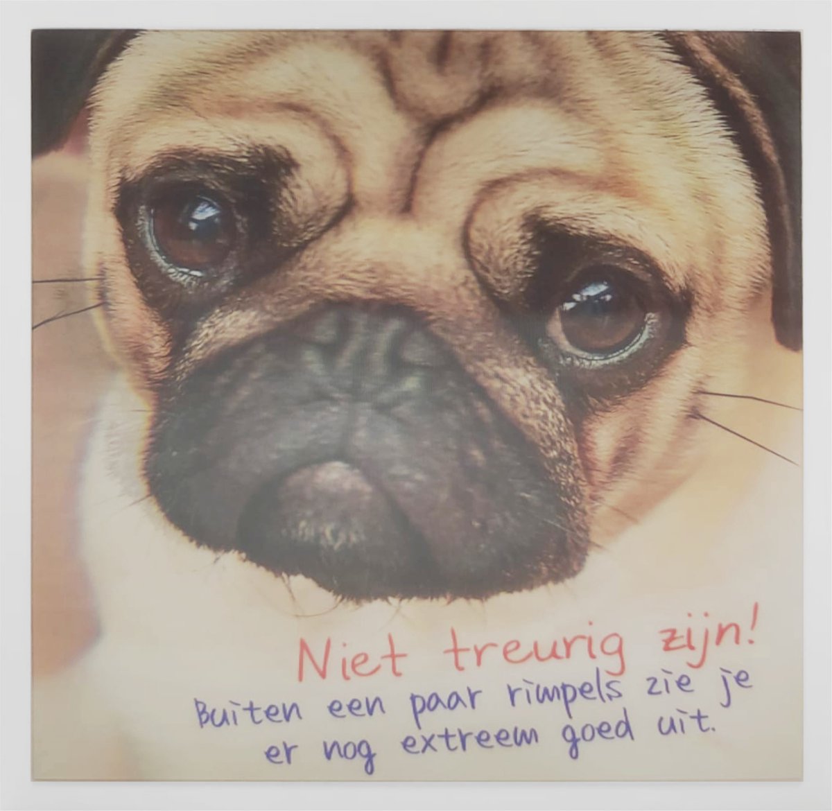 Depesche - 3D wenskaart met hond en de tekst "Niet treurig zijn! Buiten een paar rimpels ..." - 019