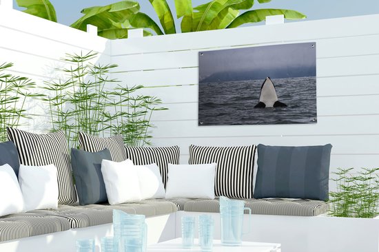 Poster Jardin orque au-dessus de l'eau 60x40 cm - petit - Toile de jardin / Toile d'extérieur / Peintures pour l'extérieur (décoration de jardin)