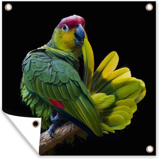 Papegaai afdruk Tuinposter 60x40 cm - Foto op Tuinposter (tuin decoratie)