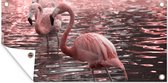 Wanddecoratie buiten Een groep flamingo's staat in het water - 160x80 cm - Tuindoek - Buitenposter
