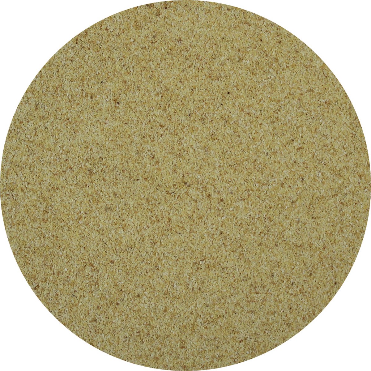 Goedkoopste Van Beekum Specerijen - Knoflook Granulaat - 25 KG - Doos (bulk verpakking