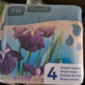 Moerings - Droogverpakking vijverplant - blauwe iris
