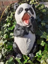 Beeld & Figuur type Panda kopen? Kijk snel! | bol.com
