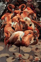Glasschilderij - Flamingo's - 80x120 cm - Wanddecoratie
