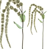 PTMD Twig Plant Amaranthus Kunsttak - 68 x 19 x 111 cm - Groen