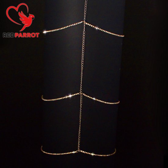 chaîne de jambe | SM | BDSM | Bijoux érotiques | Version très luxueuse