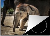 KitchenYeah® Inductie beschermer 60x52 cm - Baby olifant bij zijn moeder - Jongens - Meiden - Kinderen - Kind - Kookplaataccessoires - Afdekplaat voor kookplaat - Inductiebeschermer - Inductiemat - Inductieplaat mat