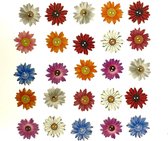 Winkrs | 25 Houten knopen in bloemvorm - 25mm - DIY - Chrysanten in diverse kleuren - Bloemen decoratie