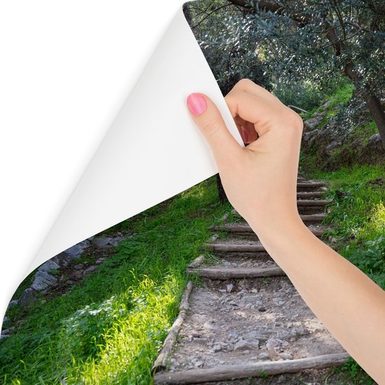 450cm X Papier peint photo - Papier Peint - Escaliers dans la forêt, vert, Belle sur votre mur, 11 tailles, y compris la colle à papier peint