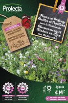 Protecta Bloemen zaden: Bloemen voor vlinders en bijen