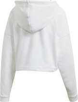 adidas Originals Bb Cp Hoodie Sweatshirt Kinderen wit 14 jaar oTUd