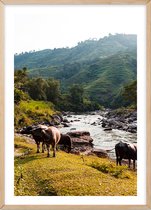 Poster Met Eiken Lijst - Rivier Ha Giang Poster