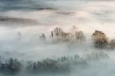 Sanders & Sanders fotobehang berglandschap met bomen vergrijsd blauw, lichtgrijs en bruin - 601015 - 3.6 x 2.7 m