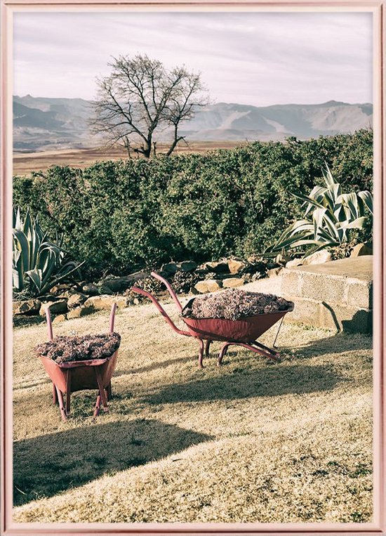 Poster Met Metaal Rose Lijst - Lesotho Kruiwagen Poster