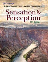 Summary Sensation and Perception -  Sensation and Perception (P_BSENPER)