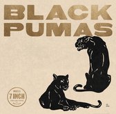 7-Black Pumas