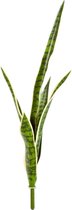 Sansevieria stengel - kunstplant