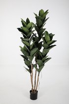 Kunstplant Ficus - topkwaliteit decoratie - Groen - zijden plant - 170 cm hoog