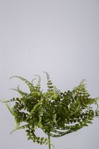 Kunsttak Varen Palm - topkwaliteit decoratie - Groen - zijden tak - 38 cm hoog - 2 stuks