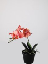 Kunstplant Orchidee Pot - topkwaliteit decoratie - Koraal - zijden plant - 24 cm hoog