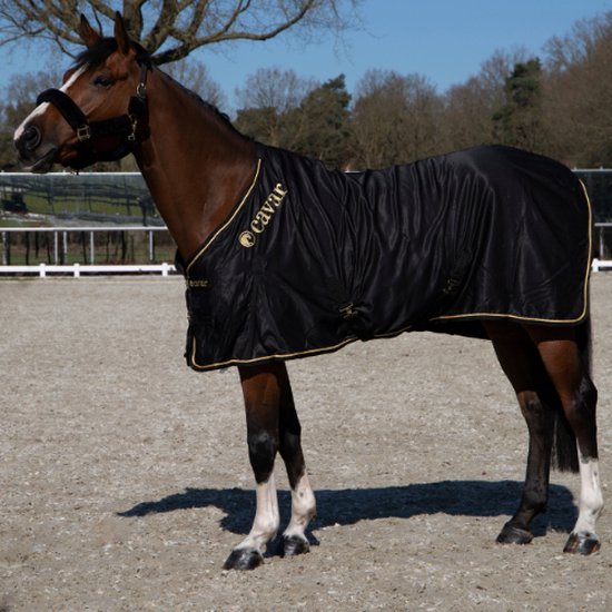 Couverture d'été Cavar Cheval Zwart 185 cm - couverture pour cheval - équipement du cheval