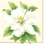 40 Hibiscus / Magnolia / Bloem Servetten - Groen / Wit / Room - 33 x 33 cm.