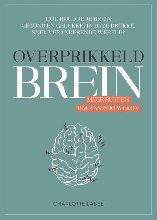 Boek: Overprikkeld brein, geschreven door Charlotte Labee
