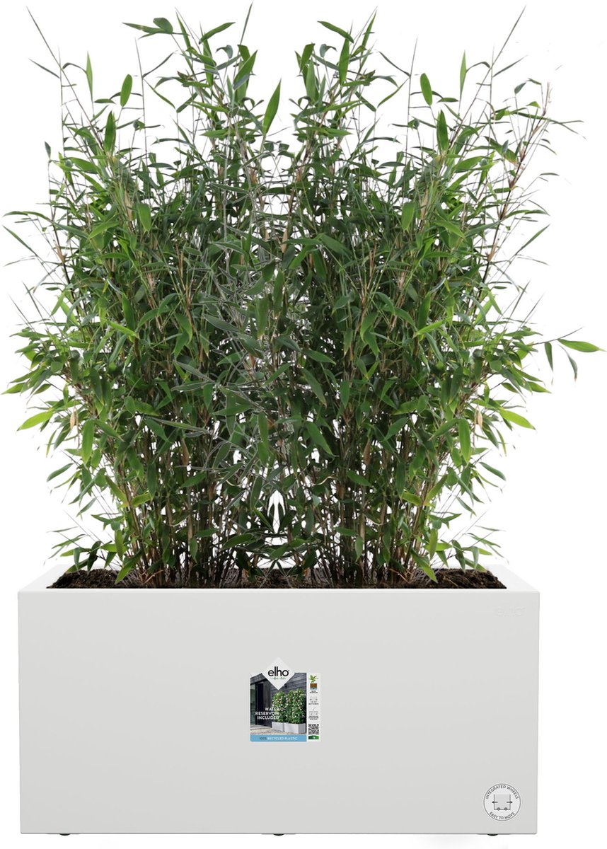 Elho Vivo Next Long 60 - Indoor & Outdoor Rectangular Planter