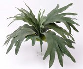 Hertshoorn - platycerium - Ø 70cm - gigantische bladsteker - zonder pot - kunstplant