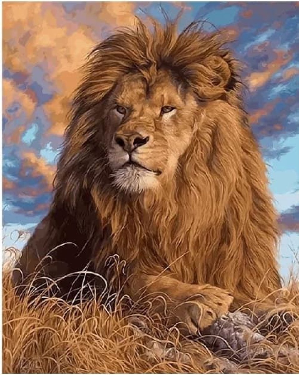 Schilderen Op Nummer Volwassenen - Kunst - Art - 40x50 cm - Canvas leeuw