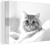 Schilderij kat - Oranje - Wit - Bed - Close up - Canvas kat - Katten schilderij - Wanddecoratie - 120x90 cm