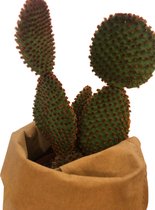 de Zaktus - Opuntia - cactus - paper bag licht bruin - maat L