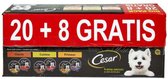 Cesar - Classic, Cuisine & Primeur Kuipje - Big Pack