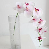 kunstbloem Orchidee wit met roze 100cm