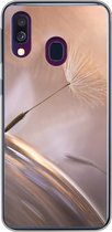 Geschikt voor Samsung Galaxy A40 hoesje - Paardenbloem zaden - Abstract - Lucht - Siliconen Telefoonhoesje