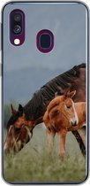 Geschikt voor Samsung Galaxy A40 hoesje - Paarden - Veulen - Natuur - Siliconen Telefoonhoesje