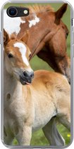 Geschikt voor iPhone SE 2020 hoesje - Paarden - Veulen - Gras - Siliconen Telefoonhoesje