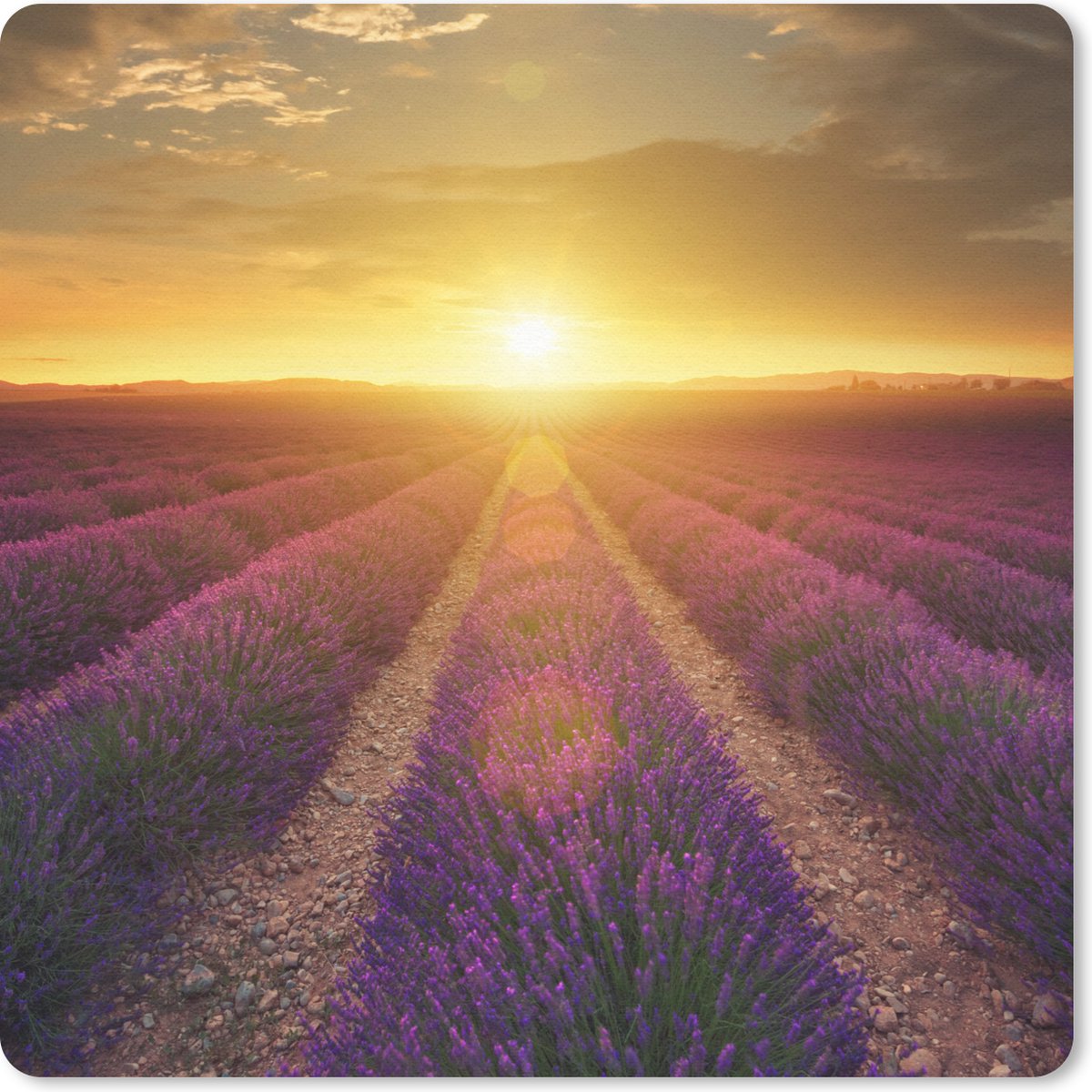 Muismat 30x30 cm - Mousepad Zonsondergang - Lavendel - Frankrijk - Muismatten