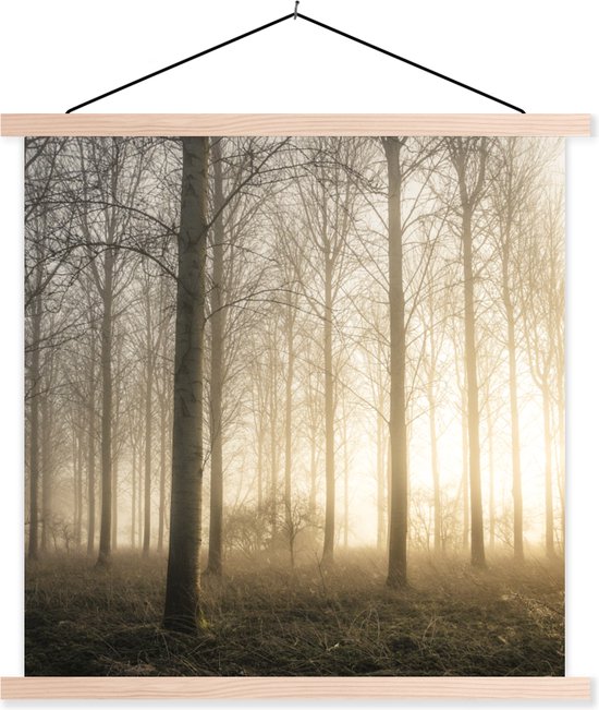 Porte-affiche avec affiche - Affiche scolaire - Forêt - Soleil - Brouillard - 60x60 cm - Lattes vierges