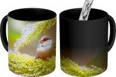 Magische Mok - Foto op Warmte Mok - Sint helenafazantje eet zaadjes op een boomtak - 350 ML - Uitdeelcadeautjes