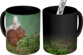 Magische Mok - Foto op Warmte Mok - Bosdier - Eekhoorn - Mos - 350 ML - Uitdeelcadeautjes