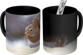 Magische Mok - Foto op Warmte Mok - eekhoorn in de sneeuw - 350 ML - Uitdeelcadeautjes