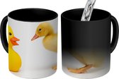 Magische Mok - Foto op Warmte Mok - Baby eend met bad eend op witte achtergrond - 350 ML - Uitdeelcadeautjes