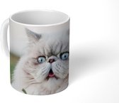 Mok - Grijze Perzische kat met lichtblauwe ogen - 350 ML - Beker - Uitdeelcadeautjes