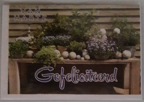 Van harte gefeliciteerd! Een mooie tuintafel vol met bloemen en planten. Een leuke kaart om te geven aan tuinliefhebbers. Een dubbele wenskaart inclusief envelop en in folie verpakt.