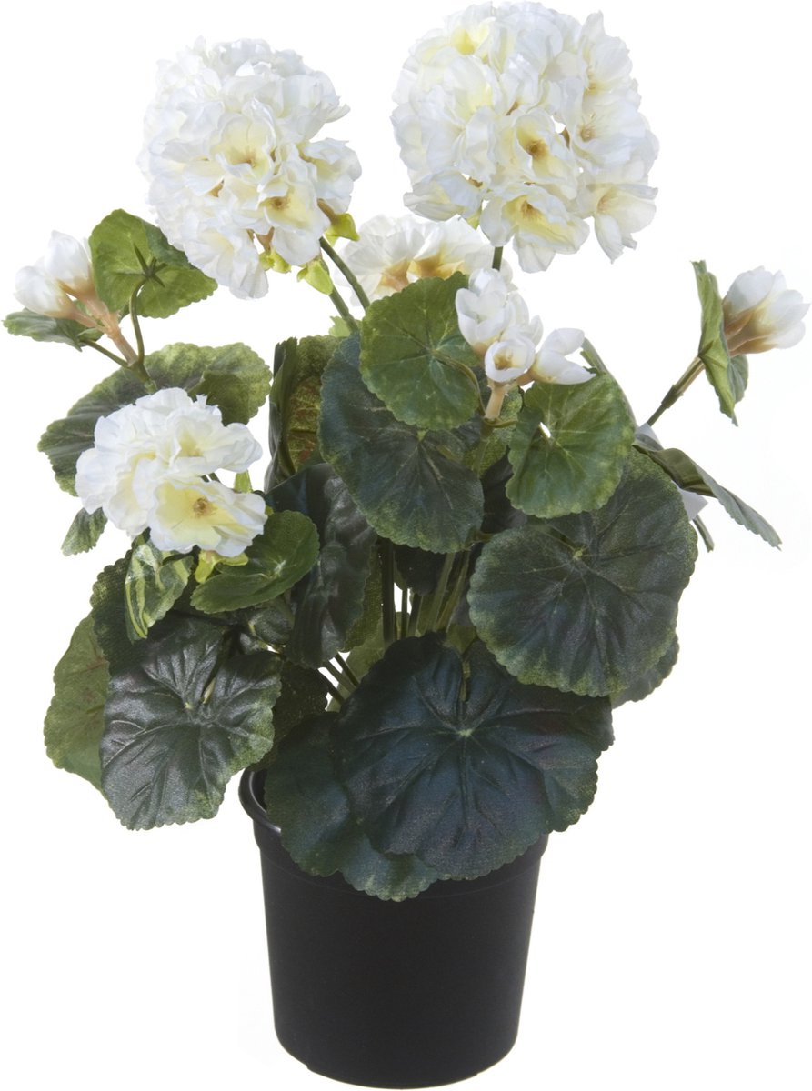 Louis maes Kunstplant - Geranium - wit - in pot - H33 cm - Pelargonium Graveolens - Woondecoratie